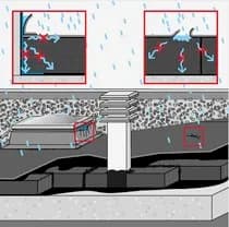 P6.jpg