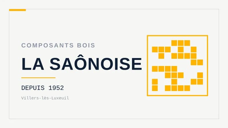 Visuel typographique sur fond clair portant le nom LA SAÔNOISE en grandes lettres, avec un motif de trame géométrique à droite