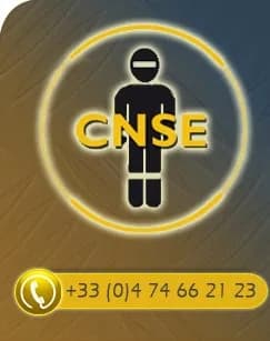 logo-cnse.jpg