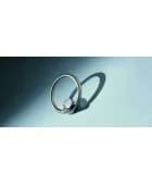 patere-ring