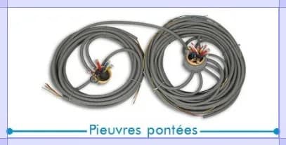 Pieuvres pontées