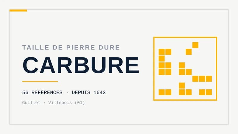 Visuel typographique sur fond clair portant le mot CARBURE, le surtitre taille de pierre dure, la mention 56 références depuis 1643 et un motif de trame.