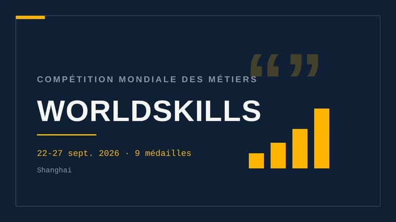 Visuel typographique sur fond bleu nuit : le mot WORLDSKILLS en grand, surmonté de « Compétition mondiale des métiers », avec un histogramme à droite et la mention des dates et des neuf médailles.